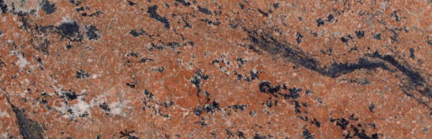 Brown Fantasy Brown Fantasy